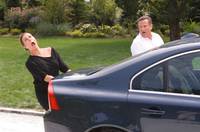 Кадр Старые псы