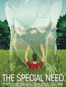 Особая необходимость