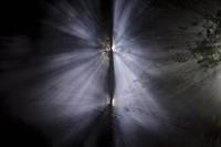 Кадр Мерлин