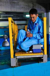 Кадр Рай океана