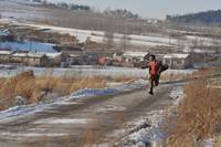 Кадр Господин Дерево