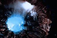 Кадр Жизненная сила