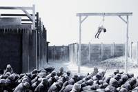 Кадр Мой путь