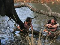 Кадр Спасатели в Африке