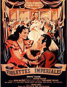 Императорские фиалки