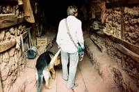 Кадр У холмов есть глаза