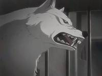 Кадр Волчий дождь