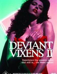 Соблазнительные мегеры 2 (видео)