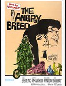 Сердитое поколение