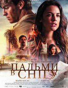 Пальмы в снегу