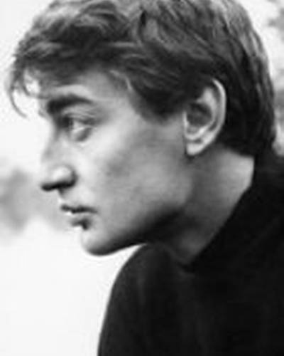 Анри Серр фото