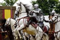 Кадр Мерлин