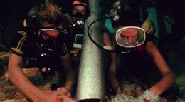 Кадр из фильма "Бездна" - 1