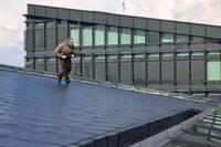 Кадр Стрелок