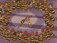 Кадр Пчелка Майя