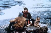 Кадр Побег из каньона дикой кошки