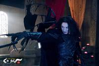 Кадр Белая лиса