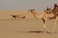 Кадр Черное золото