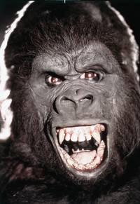 Кадр Кинг-Конг