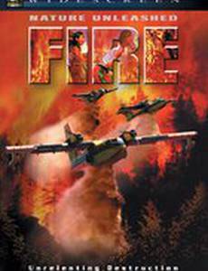 Стихия огня (видео)