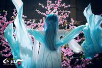 Кадр Белая лиса