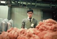 Кадр Отто, или В компании мертвецов