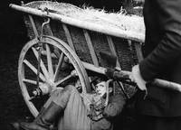 Кадр Повозка в Вену