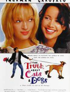 Правда о кошках и собаках