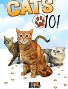 Энциклопедия кошек