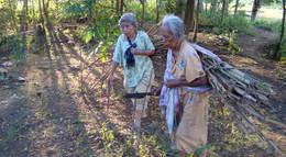 Кадр из фильма "Положение среди звезд" - 2