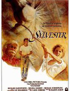 Сильвестр