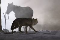 Кадр Старик