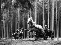 Кадр Повозка в Вену