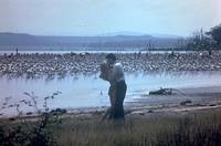 Кадр Шина – королева джунглей