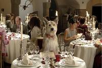 Кадр Мистер Гафф