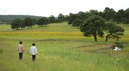 Кадр из фильма "Кочочи" - 2