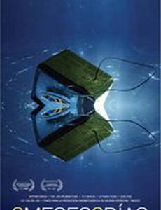 9 месяцев, 9 дней