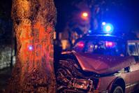 Кадр Глаза панды