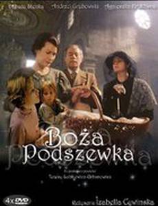 Божья подкладка