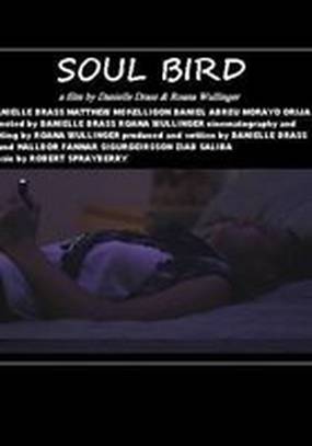 Soul Bird