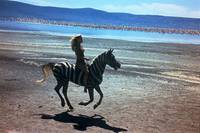 Кадр Шина – королева джунглей