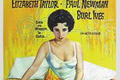 Кошка на раскаленной крыше