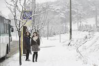 Кадр Кот: Глаза, которые видят смерть