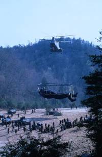 Кадр Кинг Конг жив