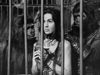 Кадр Планета обезьян