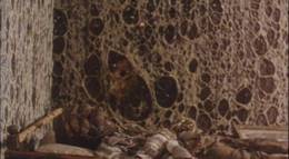 Кадр из фильма "Человек в нижнем левом углу фотографии" - 1