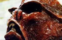 Кадр Убей их и съешь! (видео)