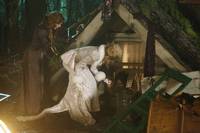 Кадр Однажды в сказке