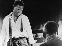 Кадр Изюминка на солнце