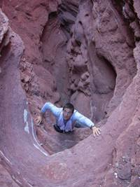 Кадр Выжить любой ценой